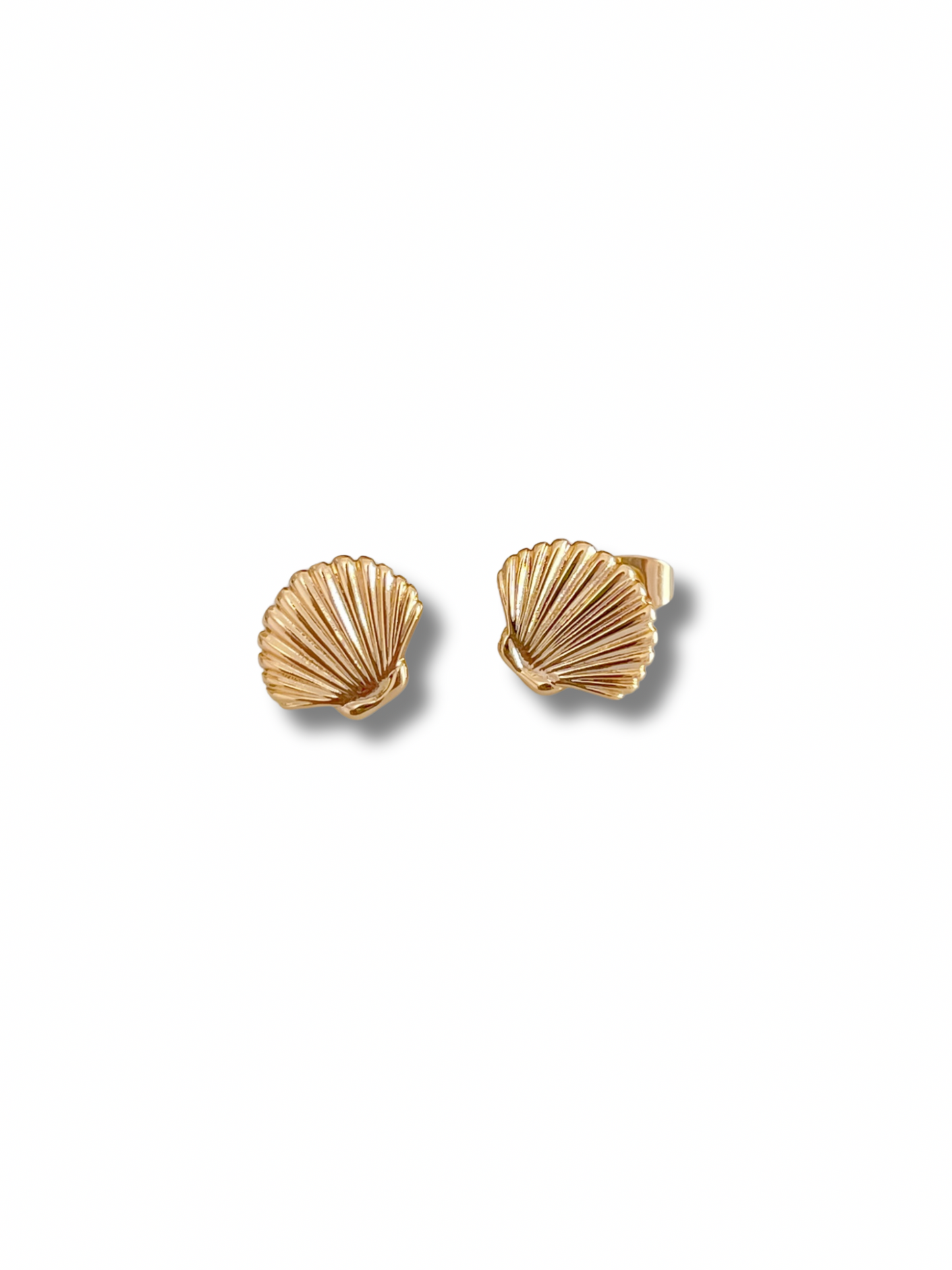 Shell Earrings