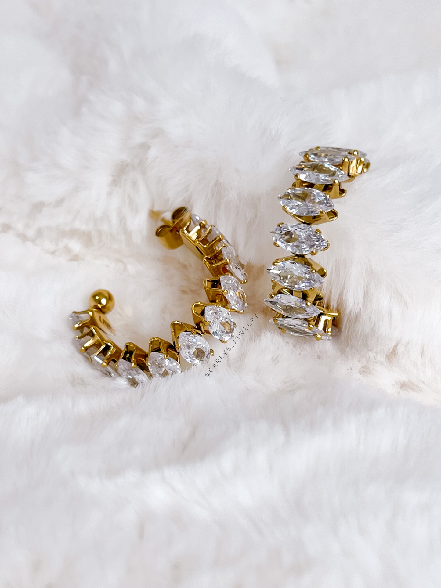 Elena Hoops